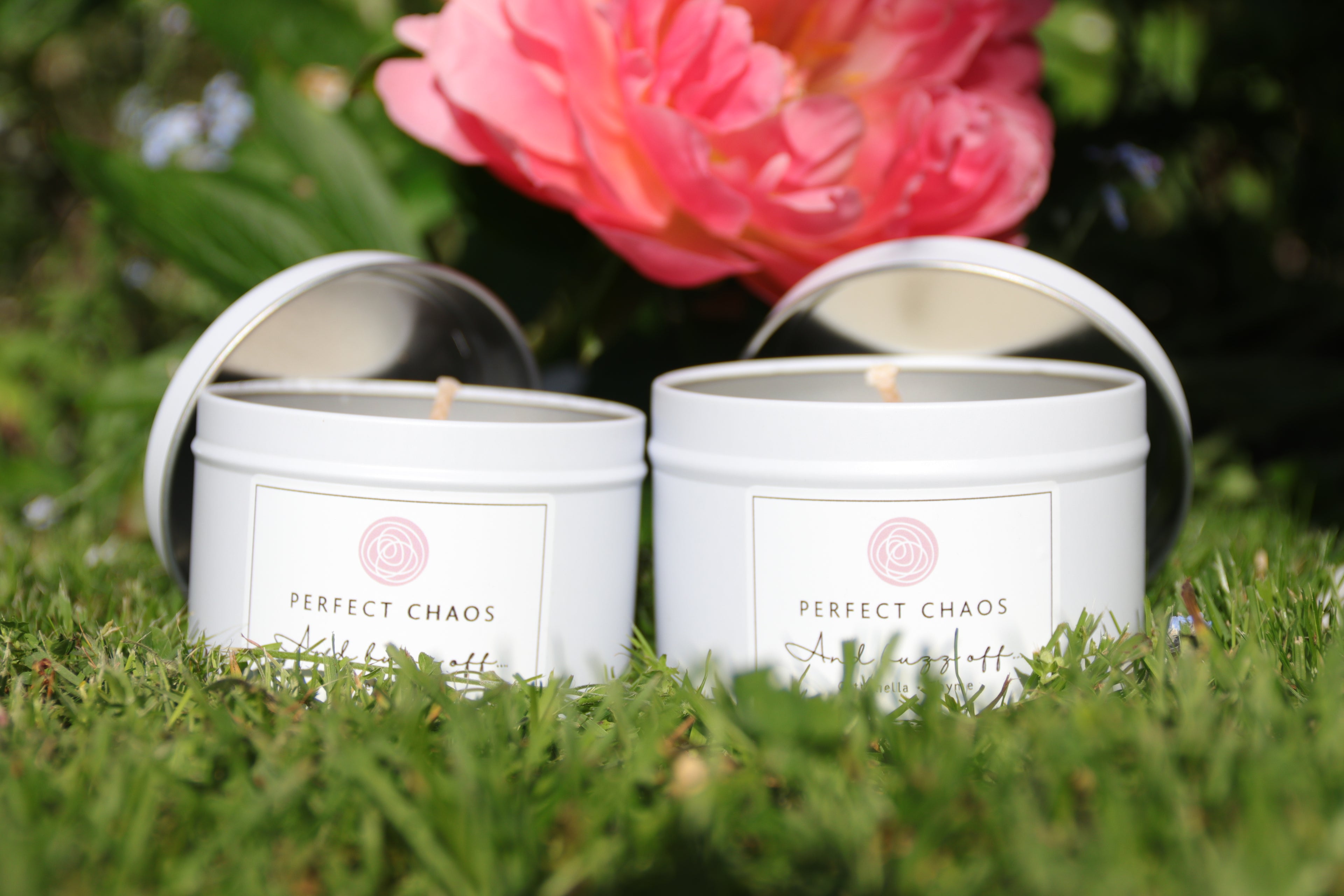 Travel And Buzz Off Tins